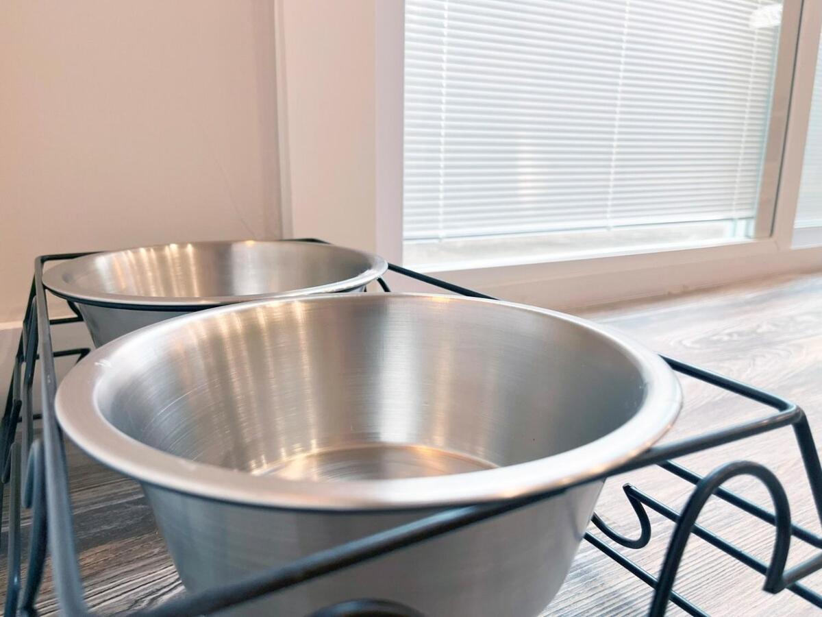 Beautiful Cozy New Build Home - Pet Friendly South Euclid المظهر الخارجي الصورة